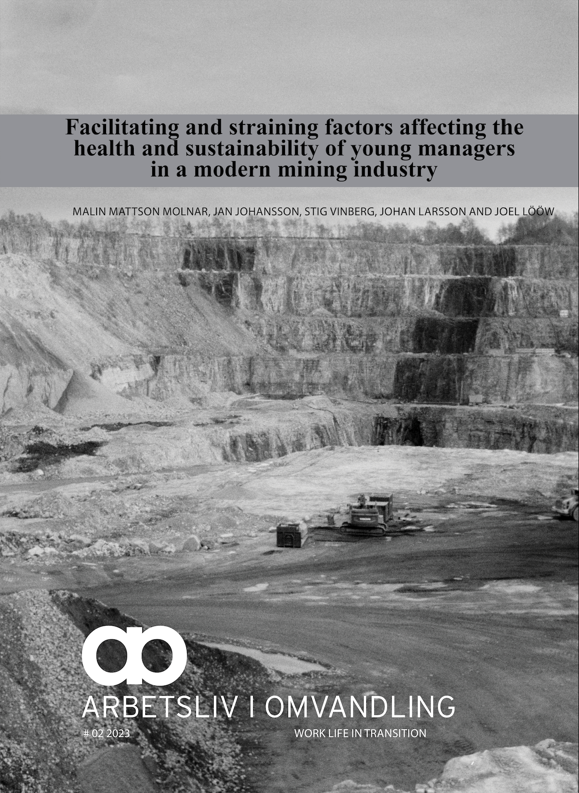					Visa Nr 2 (2023): Facilitating and straining factors affecting the health and sustainability of young managers in a modern mining industry
				
