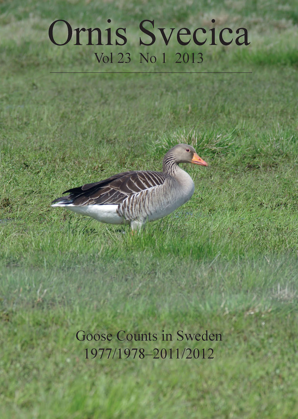 					View Vol. 23 No. 1 (2013): Special Issue: Goose Counts in Sweden 1977/1978–2011/2012
				